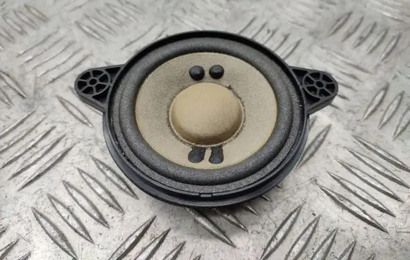 Panel speaker