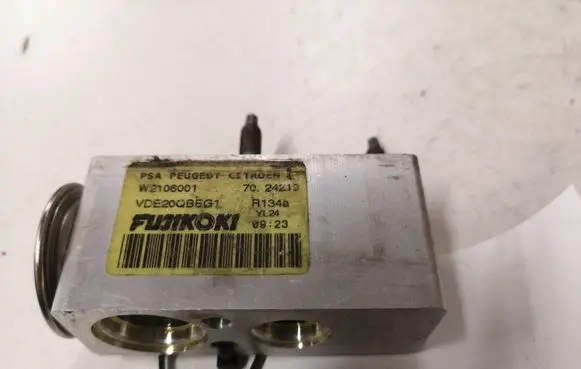 Citroen C5 Air conditioning (A/C) expansion valve W2106001 7024219