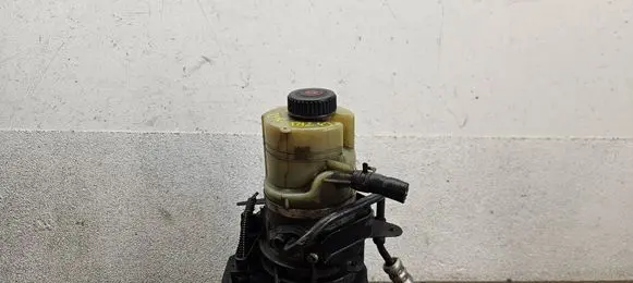 Renault Trafic III (X82) Power steering pump 491100616R 93457191 A0047924