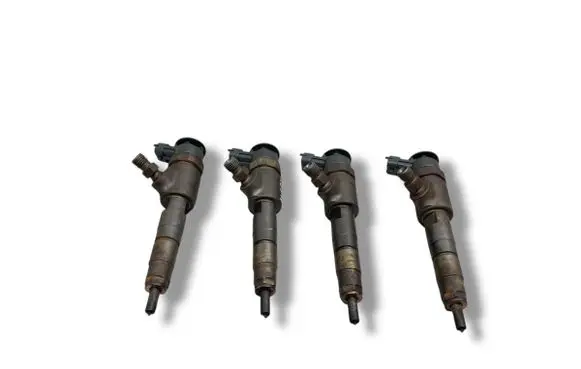 Peugeot Partner Fuel injector 0445110566