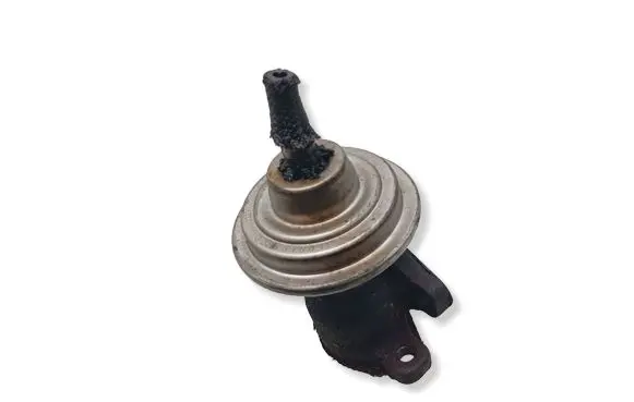 Volkswagen PASSAT B5 EGR valve 028131501E