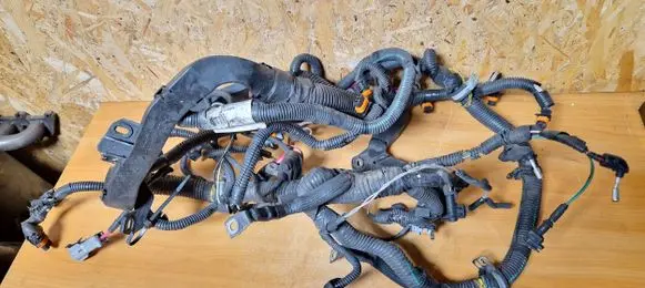 Engine installation wiring loom