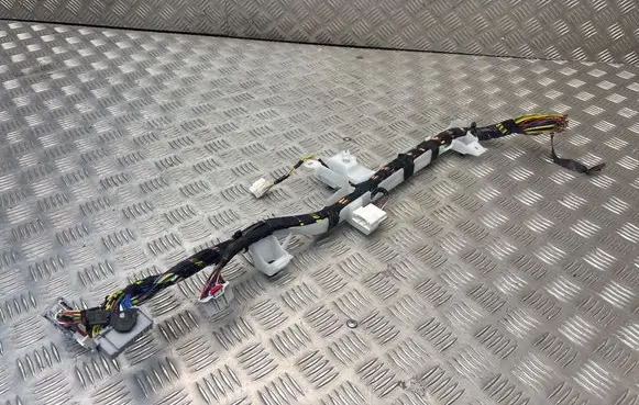 Tesla Model Y Other wiring loom 