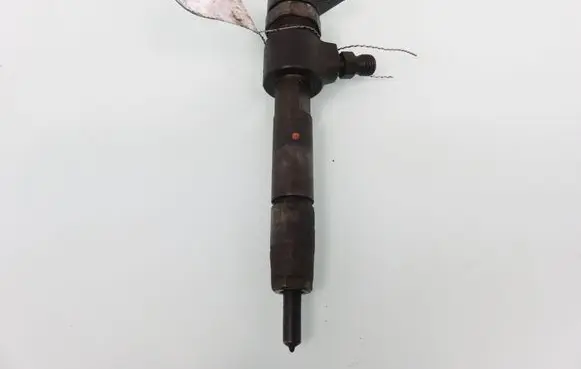 Fiat Punto (199) Fuel injector 0445110276