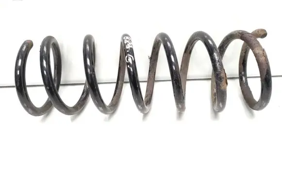 Rear coil spring