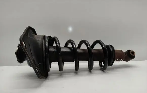 Chevrolet Camaro Rear shock absorber with coil spring 92195466