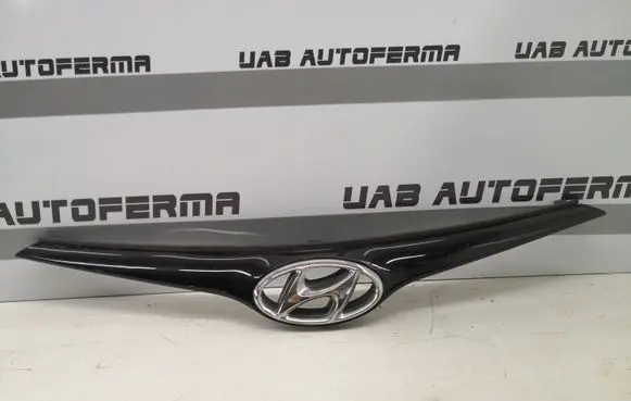 Hyundai i20 (PB PBT) Front bumper upper radiator grill 863511J500