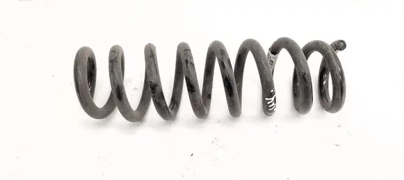 Rear coil spring