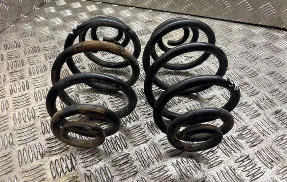 Rear coil spring