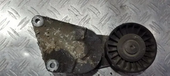Peugeot 406 Generator/alternator belt tensioner 9623654380