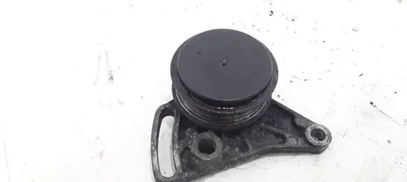 Volkswagen PASSAT B5.5 Air conditioning tensioner 058260511