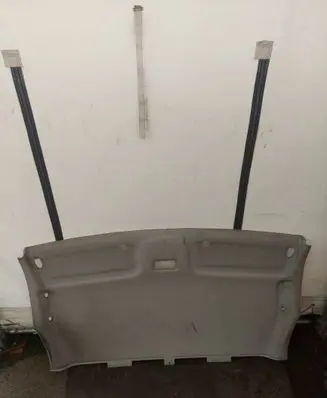 Opel Vivaro Headlining 93859092 8200644231