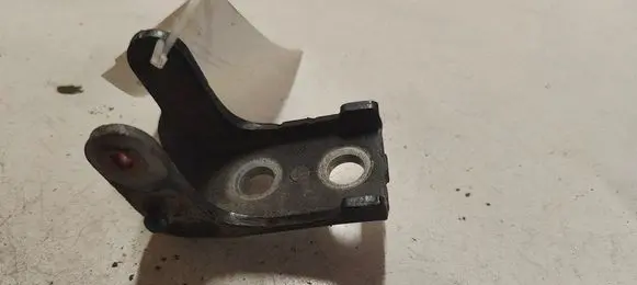 Citroen C3 Rear door lower hinge