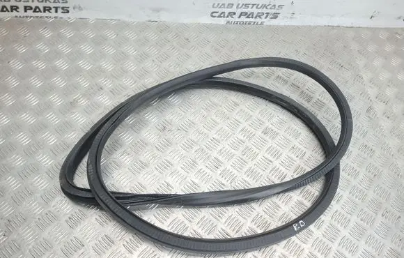 Opel Insignia A Front door rubber seal