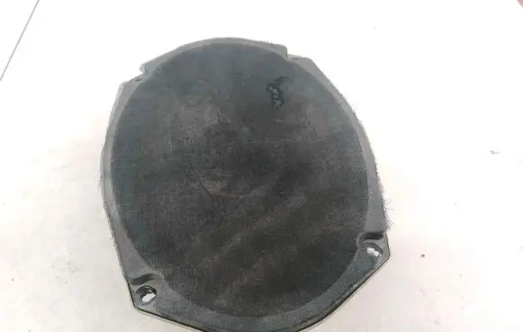 Front door speaker