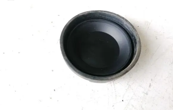 Volkswagen PASSAT B5 Headlight/headlamp dust cover 147969
