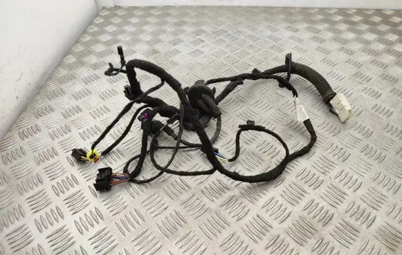Front door wiring loom