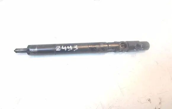 SsangYong Rexton I Fuel injector A6650170121