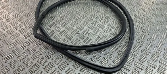 Toyota C-HR I Rear door rubber seal (on body) 