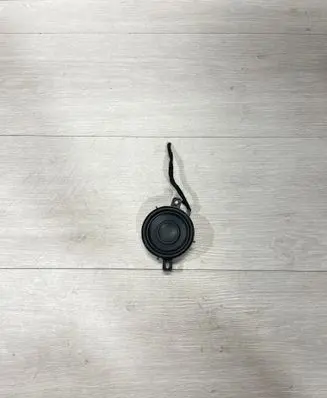 Tesla Model 3 Panel speaker 111889400B