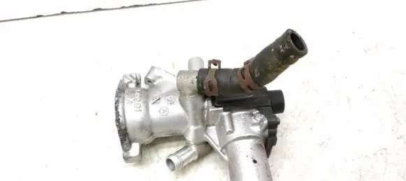 Renault Latitude (L70) EGR valve 8200988750 312901 501916000