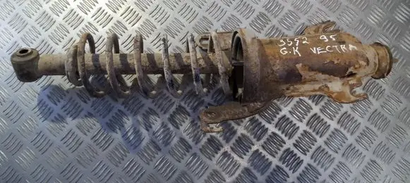 Rear shock absorber/damper