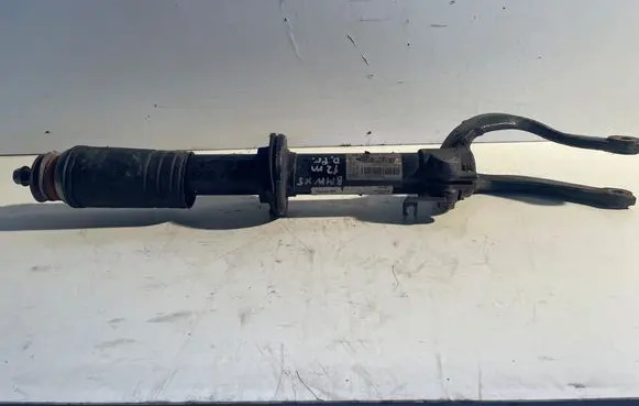BMW X5 E70 Front shock absorber/damper 3131678192001