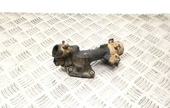 Thermostat/thermostat housing
