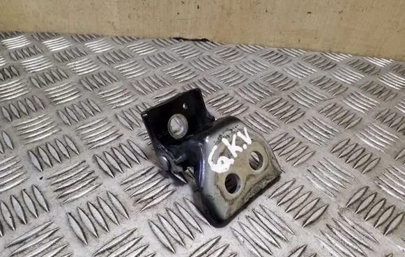 Citroen DS4 Rear door upper hinge