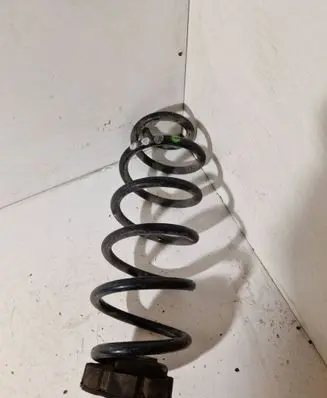 Rear coil spring
