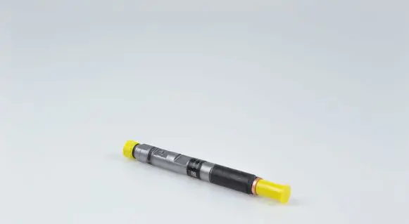 Renault Megane III Fuel injector EJBR05101D