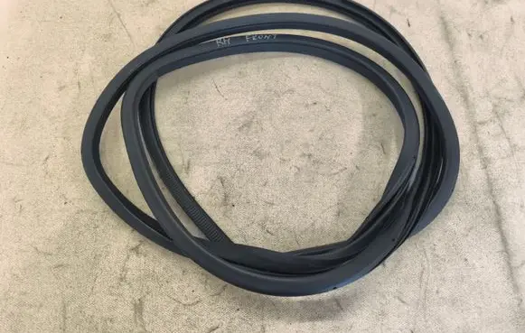 Nissan Murano Z52 Front door rubber seal