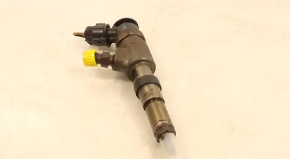 Citroen C3 Fuel injector 0445110252