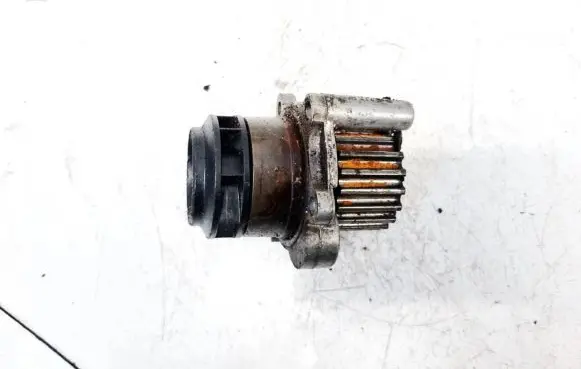 Volkswagen Golf V Water pump 045121019d