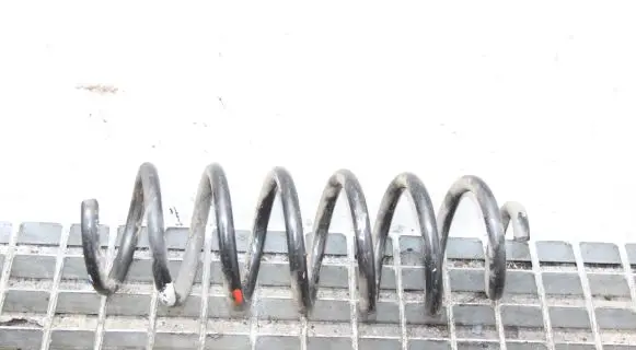 Nissan Qashqai Rear coil spring