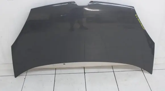 Renault Kangoo II Engine bonnet/hood