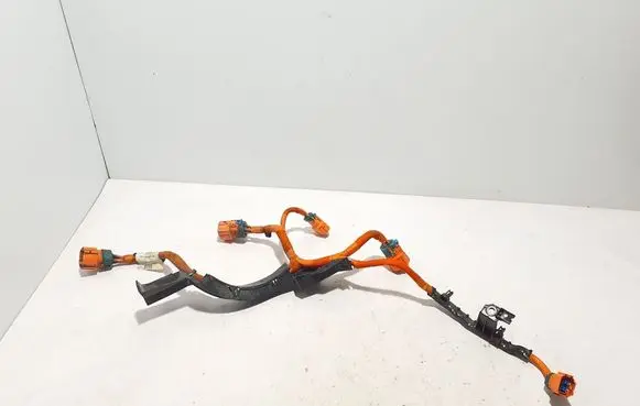 Other wiring loom