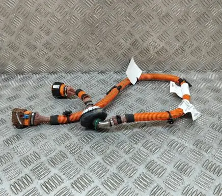 Renault Zoe Other wiring loom 115128834R