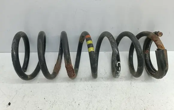Ford Focus C-MAX Rear coil spring