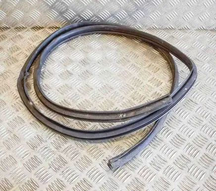 Toyota Hilux (AN120, AN130) Rubber seal front coupe door 