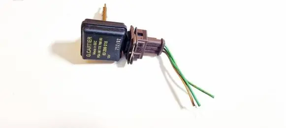 Peugeot 206 Coolant level sensor 9617376880 63299018