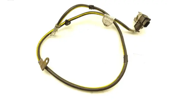 Nissan Leaf I (ZE0) Negative earth cable (battery) 240803NL0A