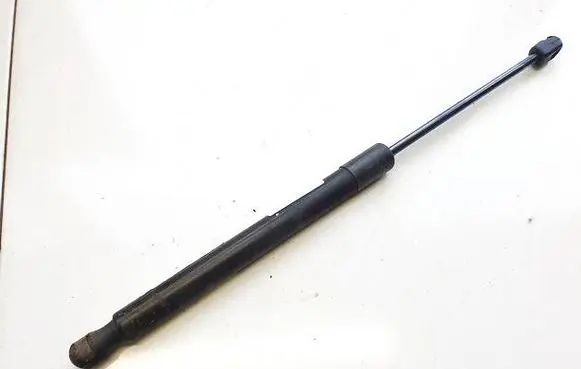 Tailgate/trunk strut/damper