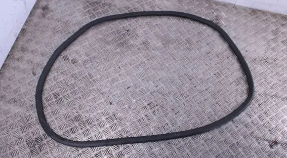 Opel Crossland X Rear door rubber seal (on body) 39120623