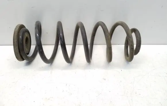 Rear coil spring