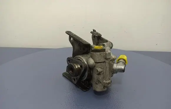BMW 5 E39 Power steering pump 