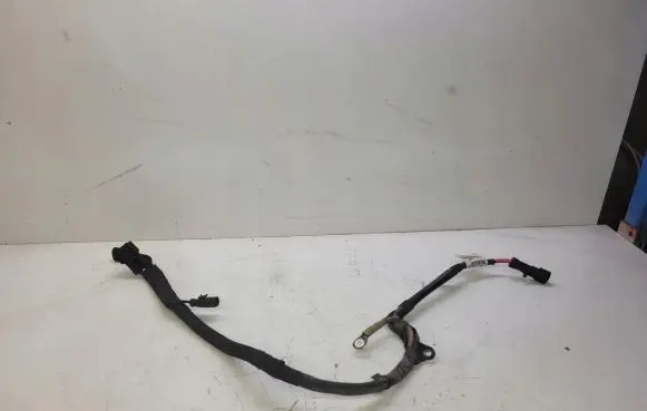Audi A6 S6 C7 4G Other wiring loom 4G1971111C