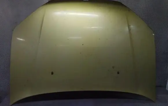 Engine bonnet/hood