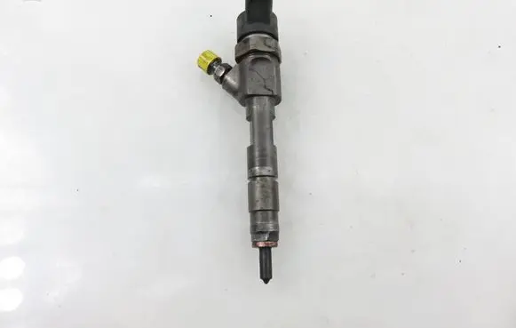 Renault Espace - Grand espace IV Fuel injector 0445110110B 8200100272