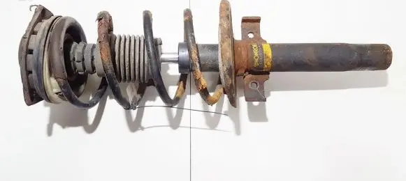Renault Scenic II - Grand scenic II Front shock absorber/damper 05b17